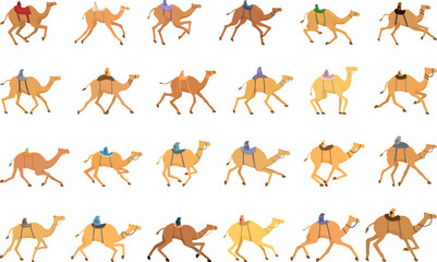 Camel racing icons set cartoon vector. Race activity. Camel animal