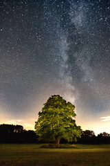 Milky way over lightpainted lonely tree at the countryside