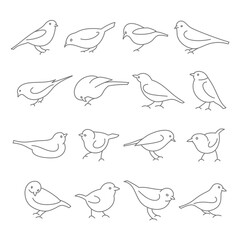 Set of linear birds. Thin line vector illustration. Editable shapes