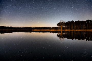 Starry night over dead tree at the lake - 561223514