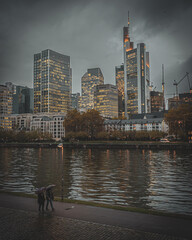 Frankfurt am Main zur Herbstzeit