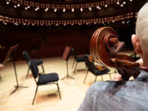 musician at concert hall 