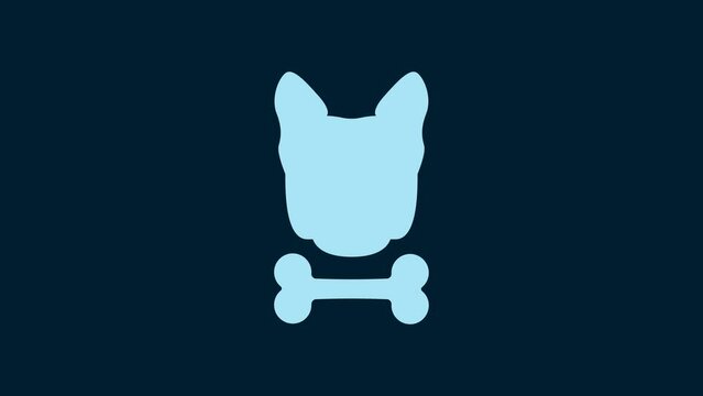 White Dog and bone icon isolated on blue background. Pets food symbol. 4K Video motion graphic animation