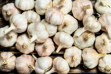 Fresh fragrant garlic.