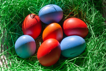 easter eggs in grass