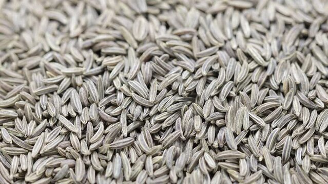 a large pile of natural dried cumin seeds rotates in a circle