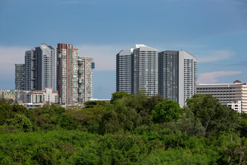 Condo front side forest