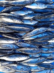 Obraz premium a view of local market of cheap fishes in aceh indonesia