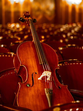instrument in concert hall 