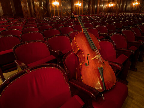 instrument /cello in concert hall