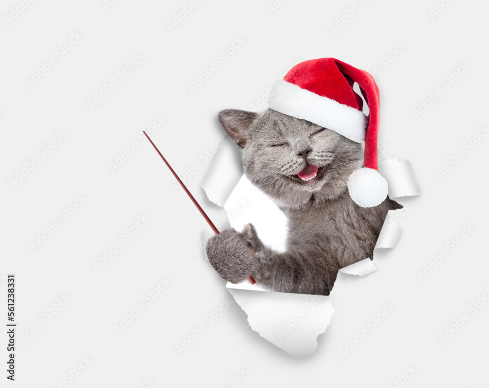 Poster happy kitten wearing red santa hat looking through the hole in white paper and pointing away on empt