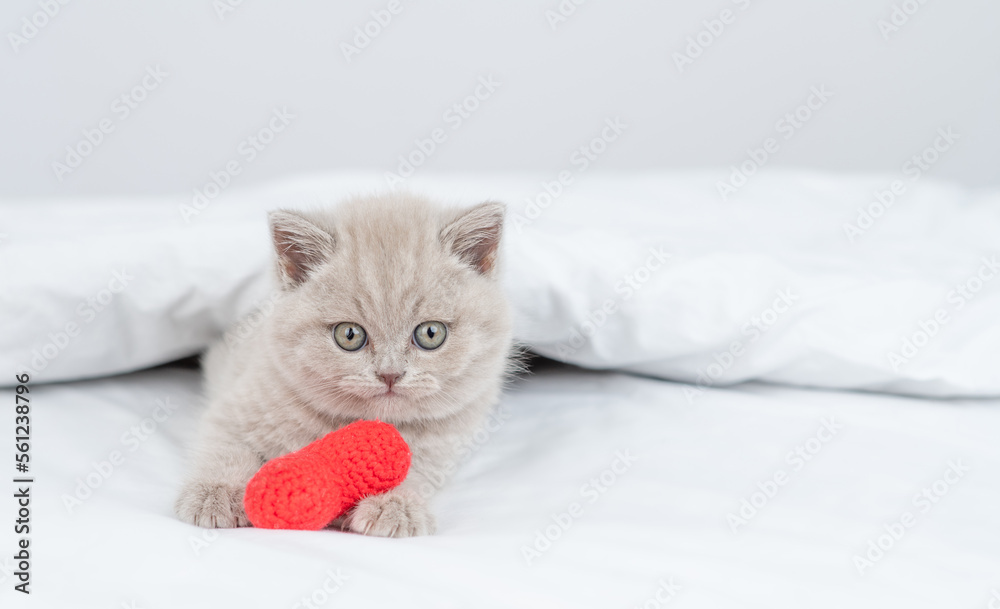 Poster cute tiny kitten hugs red heart on a bed under warm white blanket. valentines day concept. empty spa
