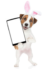 Jack russell terrier puppy wearing easter rabbits ears holds big smartphone with white blank screen in it paw, showing close to camera. isolated on white background