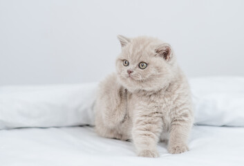 Fototapeta na wymiar Cute kitten scratching itself on a bed at home