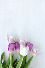 seven delicate tulips on the table top view. bouquet for spring holidays