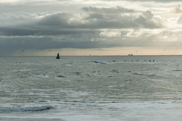 Obraz premium Waddenzee, Wadden Sea