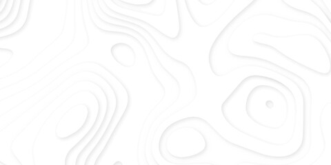 Abstract 3d wavy line paper cut white background.realistic papercut decoration textured with wavy layers.3d Topographic canyon geometric map relief texture with curved layers and shadow.