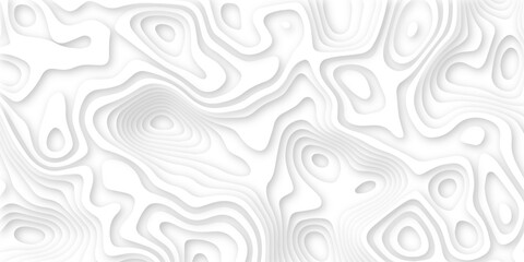 Abstract wavy line 3d paper cut white background. Topographic canyon geometric map relief texture with curved layers and shadow. Abstract realistic papercut decoration textured with wavy layers