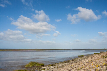 Landschap in Westhoek, Landscape in Westhoek