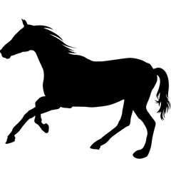 Fototapeta na wymiar silhouette horse running vector illustration, Collection