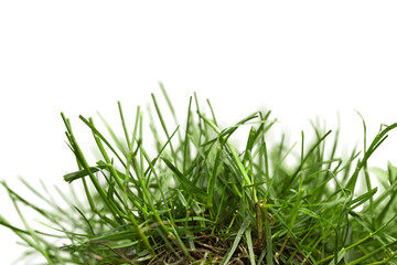 Watering can with green grass