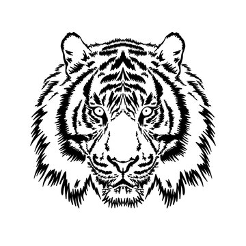 Black and white illustration of a tiger. Animal's head against a white background. Hand drawn illustration. Icon template.
