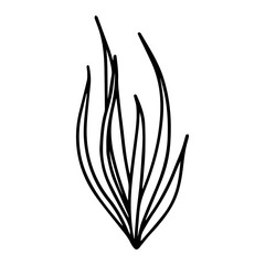 Obraz premium Hand drawn flower in doodle style.