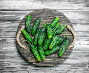 Cucumbers on a tray.