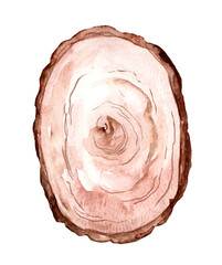 Section of cracked aged wooden tree with rings and texture isolated on white. watercolor illustration