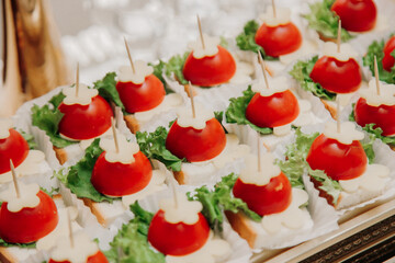 Beautifully decorated catering banquet table with different food snacks