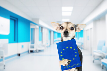 dog with european canine passport in veterinary clinic