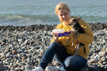 a woman pours water into a special pet drinker for a dog on the beach on a sunny day