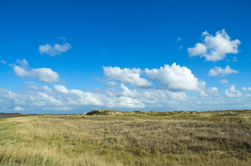 Fototapeta premium Vlieland