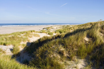 Fototapeta na wymiar duinvorming Vlieland, new dunes Vlieland, Netherlands