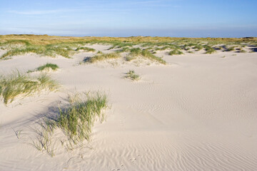 Fototapeta na wymiar Duinvorming Vliehors Vlieland, Dune growth