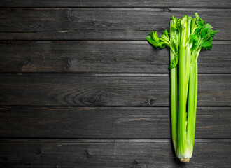 Fresh green celery.