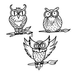 Vector  hand drawn illustration of cartoon funny owls holding a brush with paint.