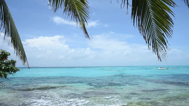 Palm leaves sway on tropical beach with a turquoise-water lagoon in Isla Mujeres Mexico