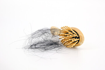 Hair loss stuck on the comb with white background concepts of hairloss problems or thin hair and scalp health.