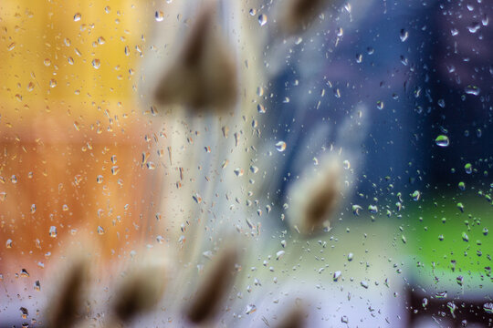 Raindrops on a window with out-of-focus plants in front