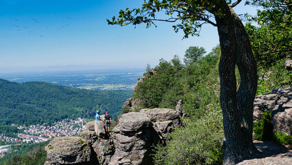 Kletterer am Battertfelsen in Baden-Baden