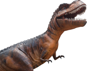 Tyrannosaurus Rex dinosaur