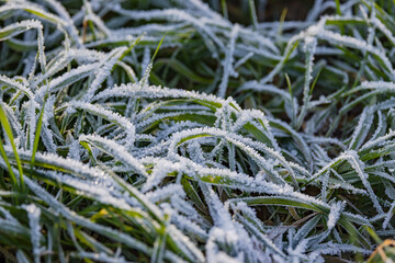 Iced grass with frost and ice crystals in winter with deep focus fusion