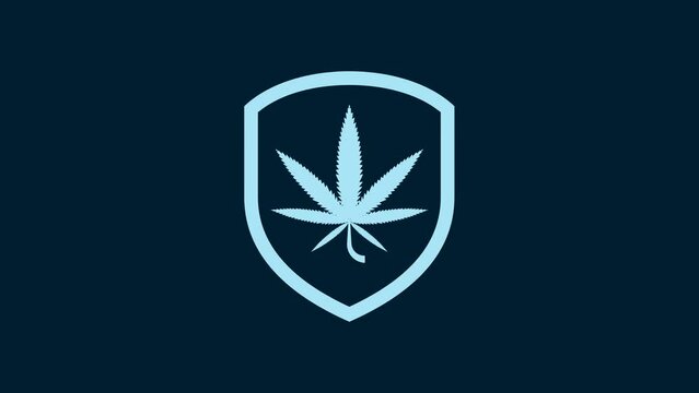 White Shield and marijuana or cannabis leaf icon isolated on blue background. Marijuana legalization. Hemp symbol. 4K Video motion graphic animation
