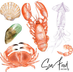 Watercolor painting seafood vector  set