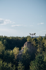 View of nature from above. Forest spaces in summer.