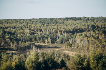 View of nature from above. Forest spaces in summer.