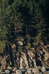 View of nature from above. Forest spaces in summer.