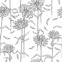 Chamomile or daisy flowers - hand drawn black and white seamless pattern on white background	