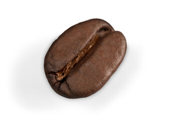 Brown Coffee Cup Beans collage